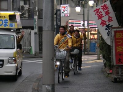 ２０１２年 衆議院議員総選挙