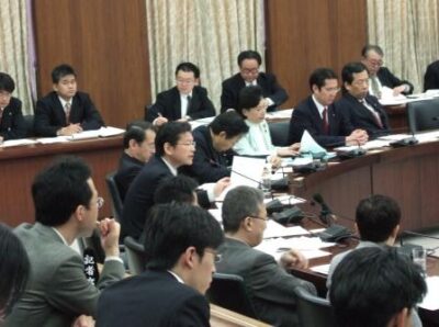 2007年4月5日（木）　憲法調査特別委員会公聴会にて質疑