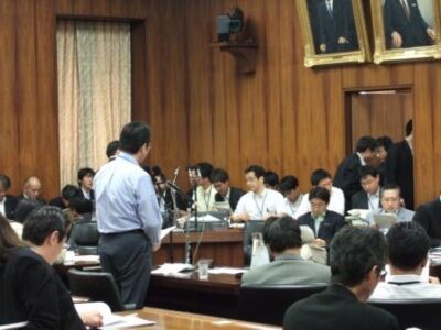 2007年6月6日（水）　衆議院　内閣委員会において質疑